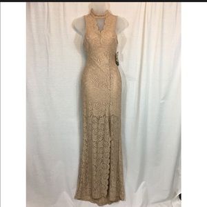 Prom dress/formal gown